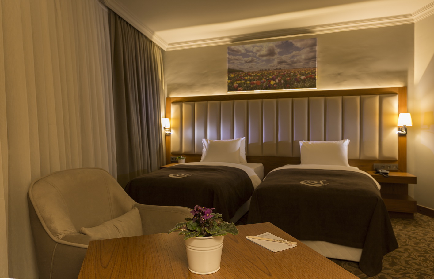 Standart Oda Double Room (French Bed)